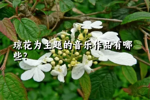 琼花为主题的音乐作品有哪些？