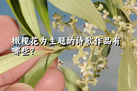 橄榄花为主题的诗歌作品有哪些？