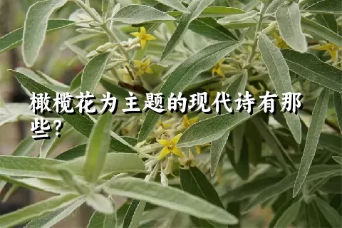 橄榄花为主题的现代诗有那些？