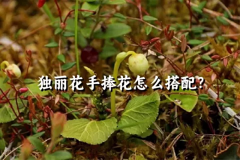 独丽花手捧花怎么搭配？