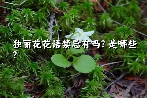 独丽花花语禁忌有吗？是哪些？