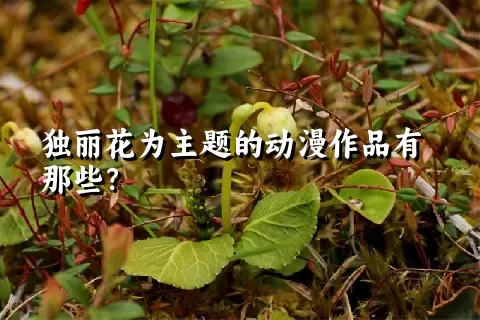 独丽花为主题的动漫作品有那些？