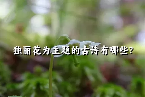 独丽花为主题的古诗有哪些？