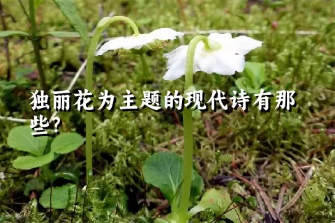 独丽花为主题的现代诗有那些？