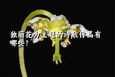 独丽花为主题的诗歌作品有哪些？