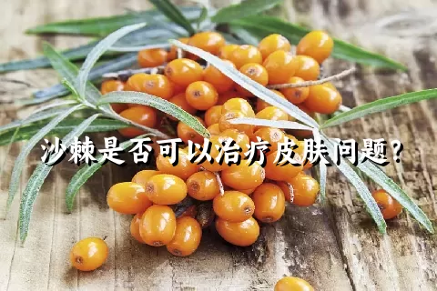 沙棘是否可以治疗皮肤问题？