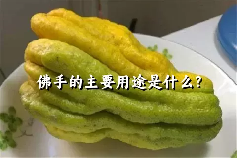 佛手的主要用途是什么？