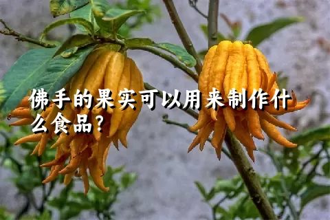 佛手的果实可以用来制作什么食品？