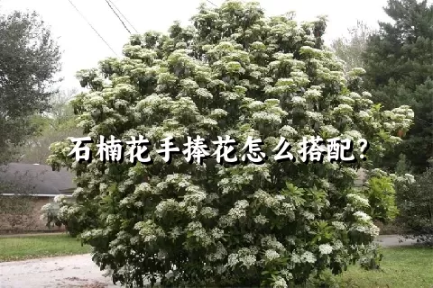 石楠花手捧花怎么搭配？