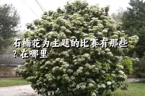 石楠花为主题的比赛有那些？在哪里