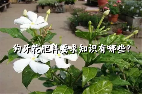 狗牙花肥料要求知识有哪些？