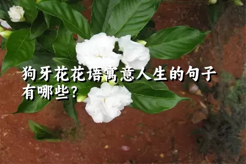 狗牙花花语寓意人生的句子有哪些？