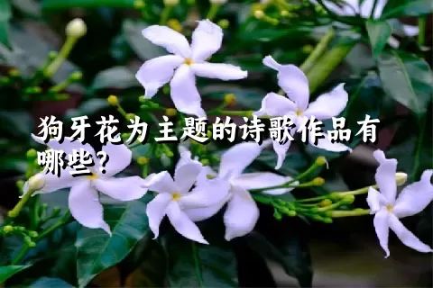 狗牙花为主题的诗歌作品有哪些？