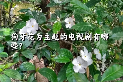 狗牙花为主题的电视剧有哪些？