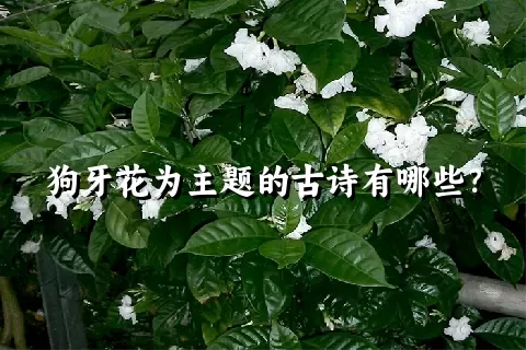 狗牙花为主题的古诗有哪些？