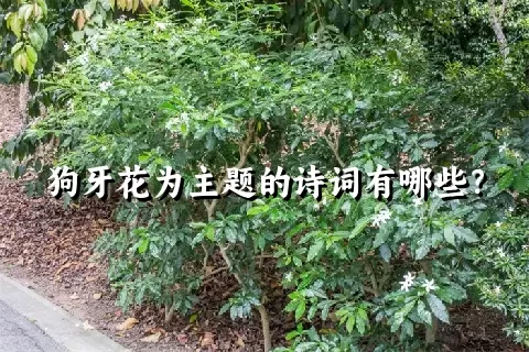 狗牙花为主题的诗词有哪些？