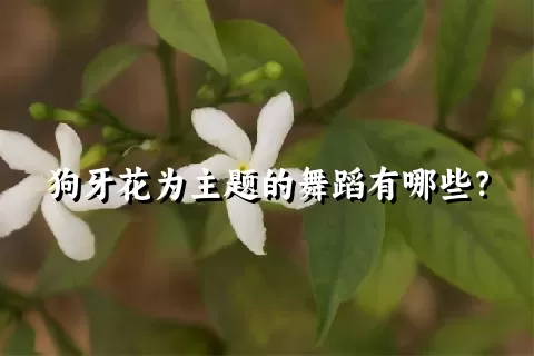 狗牙花为主题的舞蹈有哪些？