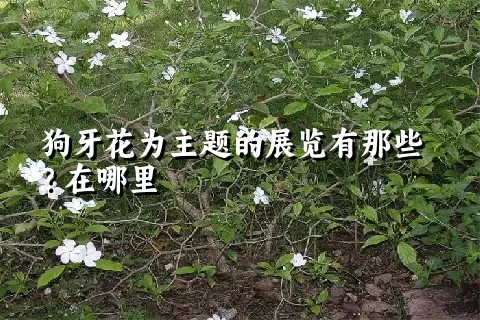 狗牙花为主题的展览有那些？在哪里