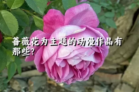 蔷薇花为主题的动漫作品有那些？