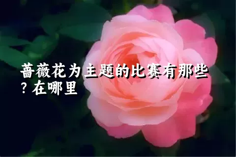 蔷薇花为主题的比赛有那些？在哪里