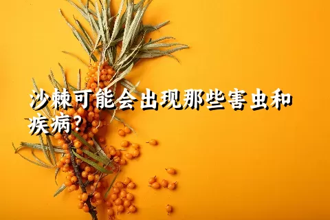 沙棘可能会出现那些害虫和疾病？