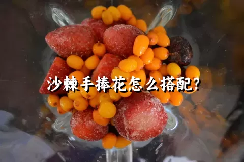 沙棘手捧花怎么搭配？