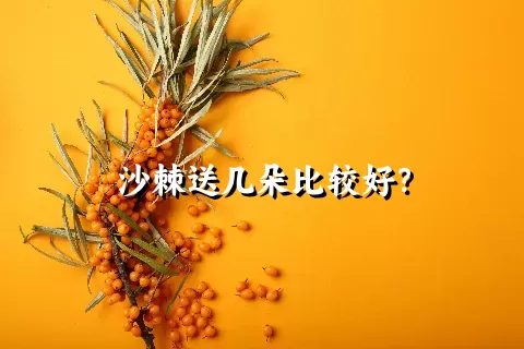 沙棘送几朵比较好？