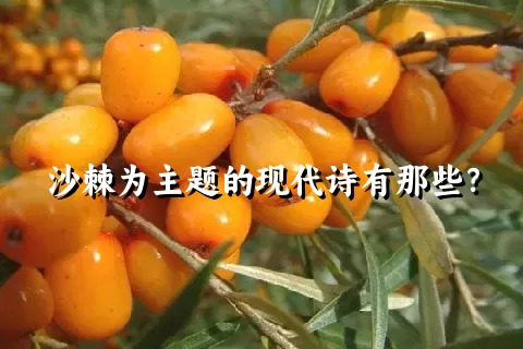 沙棘为主题的现代诗有那些？