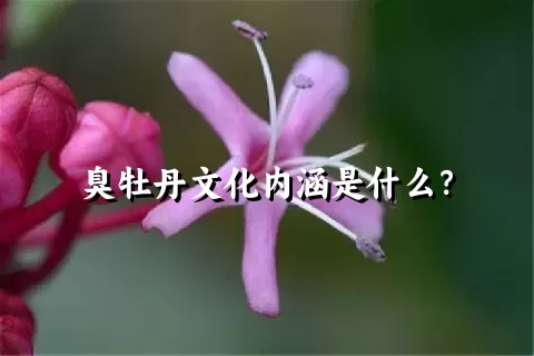 臭牡丹文化内涵是什么？