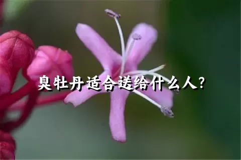 臭牡丹适合送给什么人？