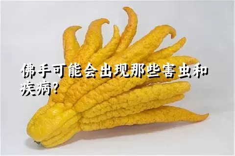 佛手可能会出现那些害虫和疾病？