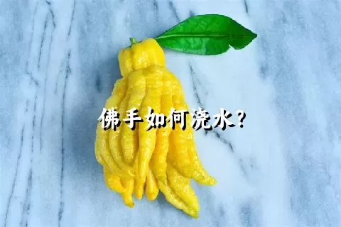 佛手如何浇水？