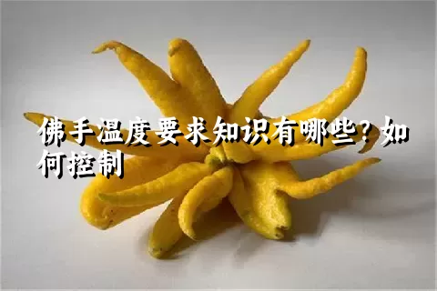 佛手温度要求知识有哪些？如何控制