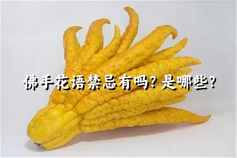 佛手花语禁忌有吗？是哪些？