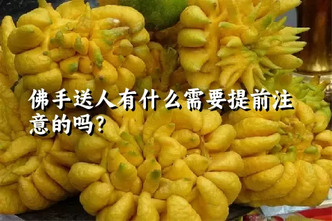 佛手送人有什么需要提前注意的吗？