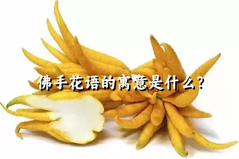 佛手花语的寓意是什么？