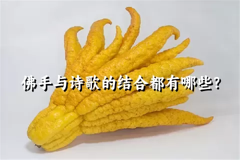 佛手与诗歌的结合都有哪些？