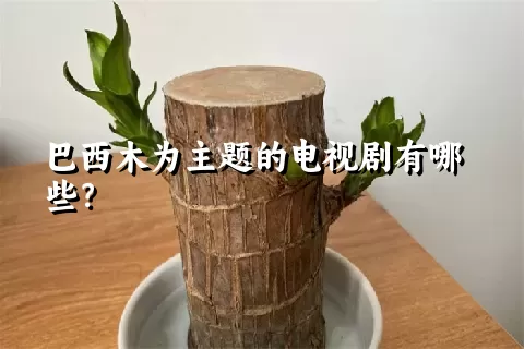 巴西木为主题的电视剧有哪些？