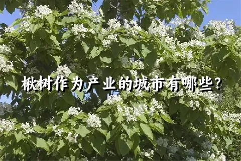 楸树作为产业的城市有哪些？