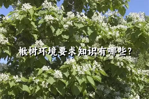 楸树环境要求知识有哪些？