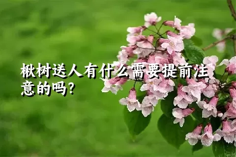 楸树送人有什么需要提前注意的吗？