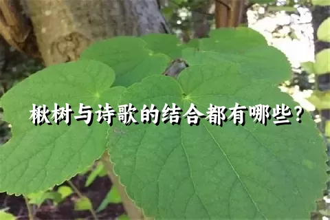 楸树与诗歌的结合都有哪些？