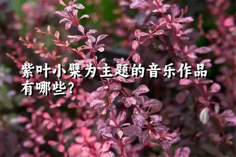 紫叶小檗为主题的音乐作品有哪些？