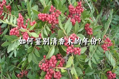 如何鉴别清香木的年份？