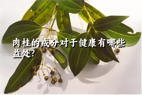 肉桂的成分对于健康有哪些益处?