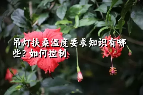 吊灯扶桑温度要求知识有哪些？如何控制