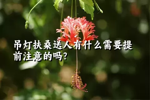 吊灯扶桑送人有什么需要提前注意的吗？