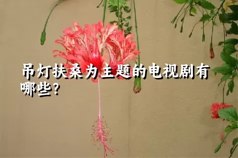 吊灯扶桑为主题的电视剧有哪些？