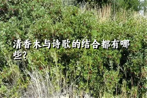 清香木与诗歌的结合都有哪些？