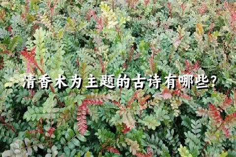 清香木为主题的古诗有哪些？